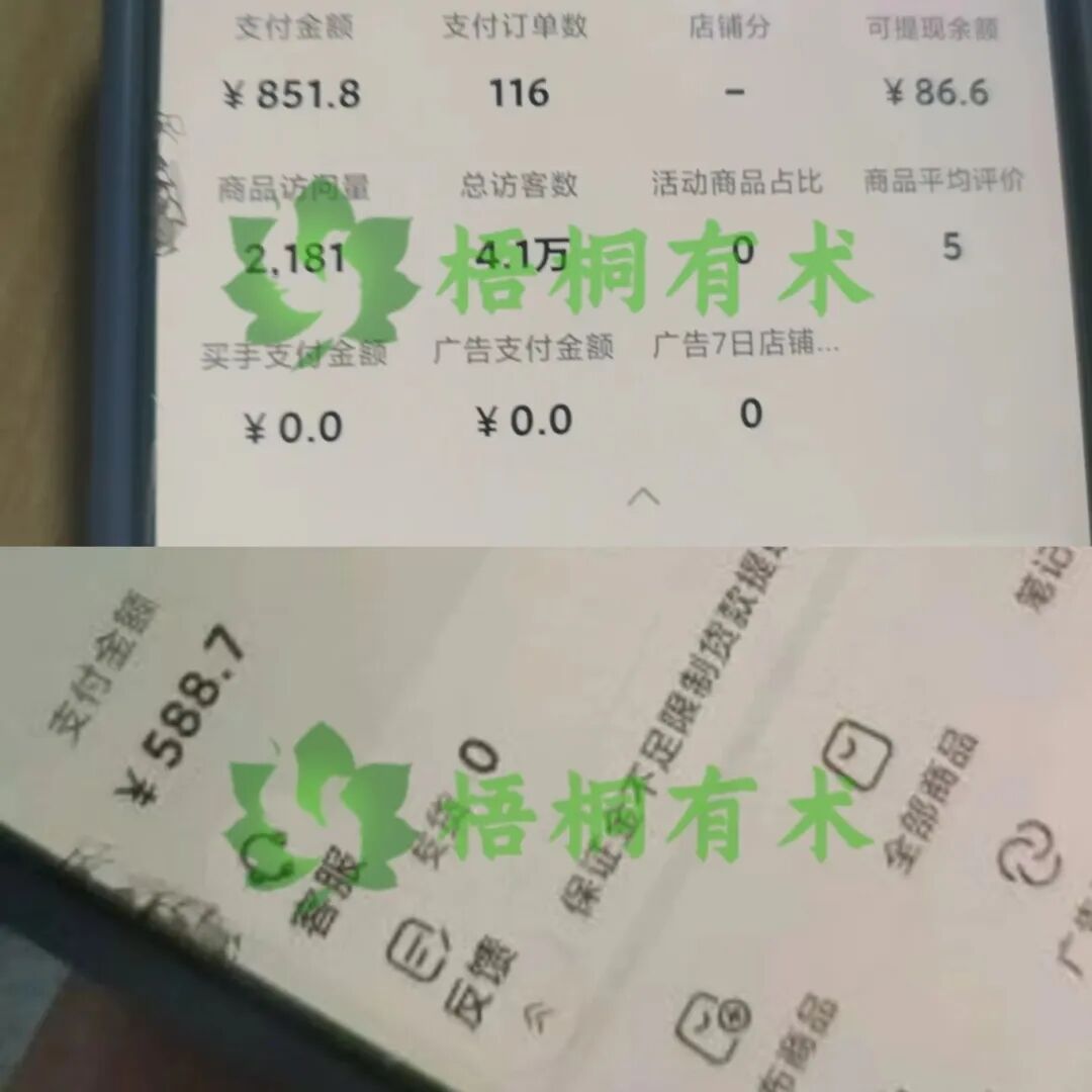 别人看不上的项目，她一天挣851，挣钱拼的就是执行力
